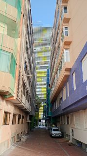 GC-Paseo Las Canteras (Las Palmas) 2026-167.jpg